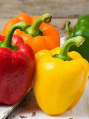 Paprika California Wonder