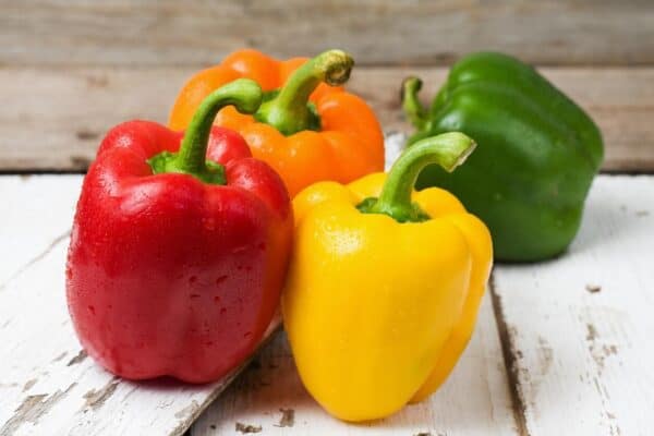 Paprika California Wonder