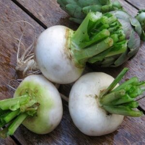 rapen platte witte