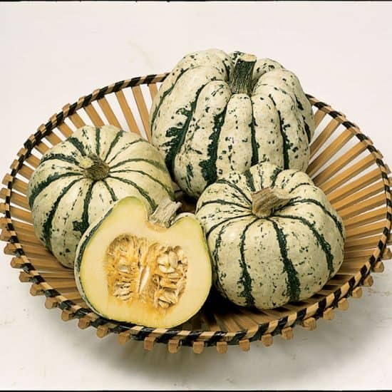 304_large_1 Pompoen Sweet Dumpling