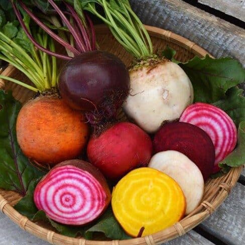 4_kleuren_mix_500_ Bieten mix