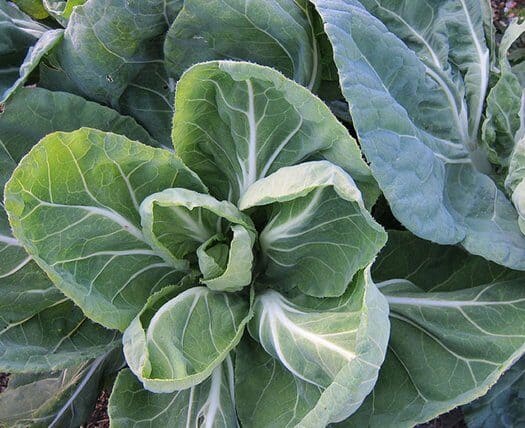 7b12641b3bfb05f9294ff0ef82dc686d Mergkool