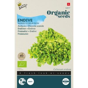 Buzzy Organic Andijvie Gele Volhart BIO