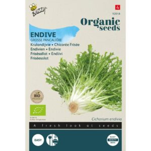 Buzzy Organic Krulandijvie Grosse Pancalière BIO