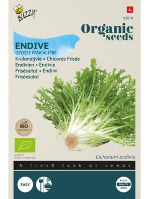 Buzzy Organic Krulandijvie Grosse Pancalière BIO