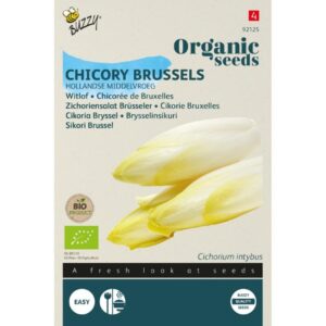 Buzzy Organic Witlof Hollandse Middelvroeg BIO
