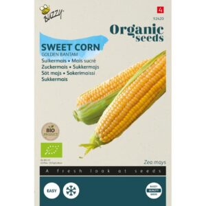 Buzzy Organic Suikermais Golden Bantam BIO
