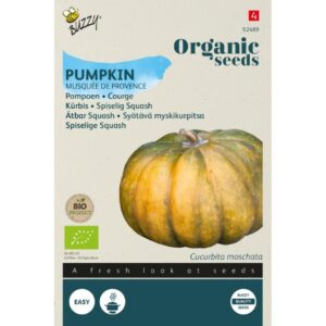 Buzzy Organic Eetbare Pompoen Musquée de Provence BIO