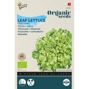 Buzzy Organic Pluksla Salad Bowl Groen BIO