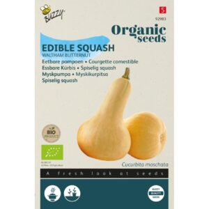 Buzzy Organic Eetbare Pompoen Waltham Butternut BIO