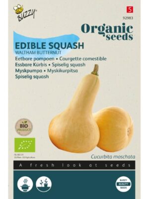 Buzzy Organic Eetbare Pompoen Waltham Butternut BIO Buzzy Organic Eetbare Pompoen Waltham Butternut BIO