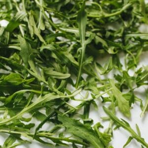Rucola