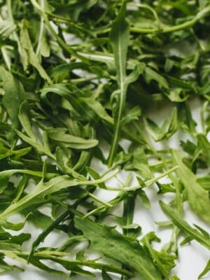 Rucola