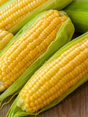 Suikermais Golden Bantam