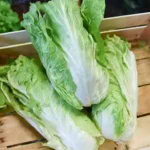 Groenlof