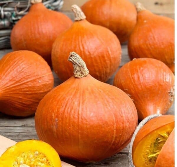 Buzzy Organic Pompoen Uchiki Kuri BIO Buzzy Organic Pompoen Uchiki Kuri BIO