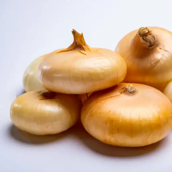 Uien Noordhollandse Strogele