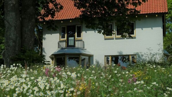 Cruydt Hoeck Wildbloemenweide zware grond