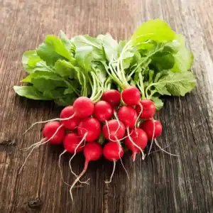 Cherry belle