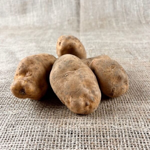 pootaardappel eigenheimer