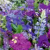 image Zomerbloemen Mix Blauw