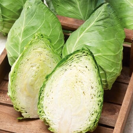 img003687 Spitskool Cape Horn F1