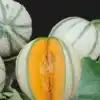 Meloen Oranje Ananas