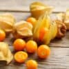 Goudbes Physalis Peruviana