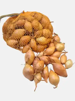 Plantui Sturon Plantui Sturon