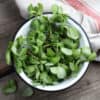 Postelein Gewone Groene
