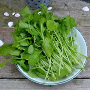 Raapstelen Gewone groene