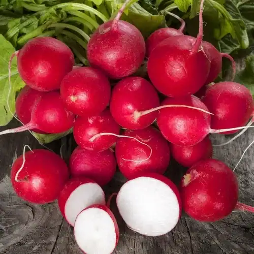 Radijs Cherry Belle