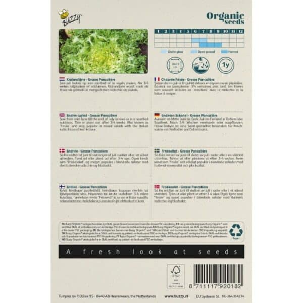 Buzzy Organic Krulandijvie Grosse Pancalière BIO