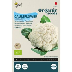 Buzzy Organic Bloemkool Goodman F1 BIO