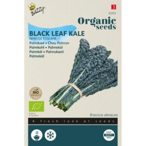 Buzzy Organic Palmkool Nero di Toscana BIO