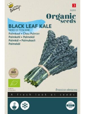 Buzzy Organic Palmkool Nero di Toscana BIO