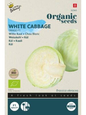 Buzzy Organic Witte Kool Drago F1