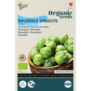 Buzzy Organic Spruitkool Doric F1 BIO