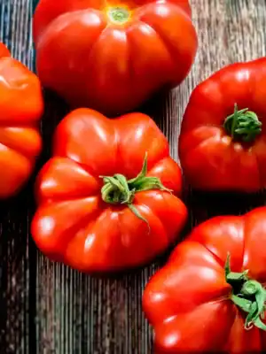 Vleestomaat Marmande