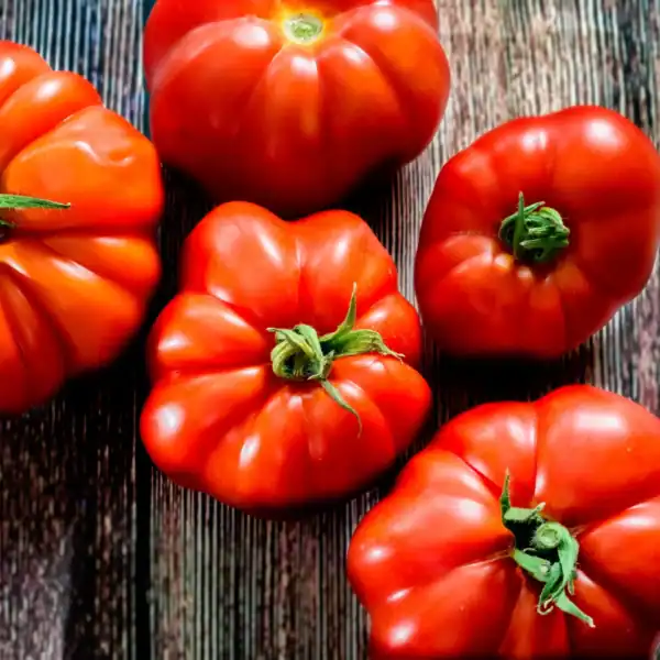 Vleestomaat Marmande