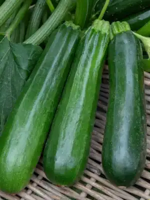 Courgette Diamant f1