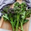 Sprouting Broccoli