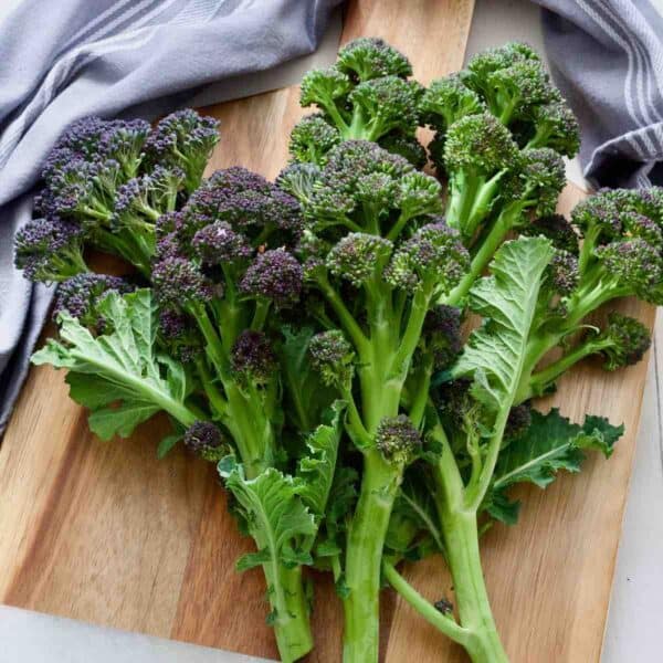 Sprouting Broccoli