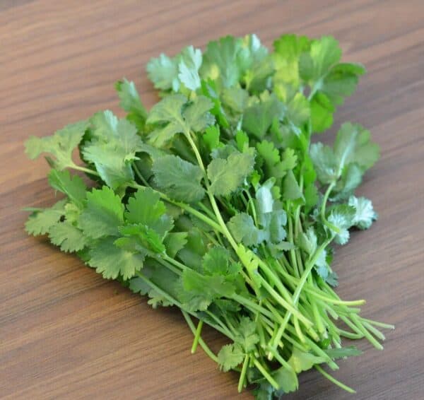 Koriander