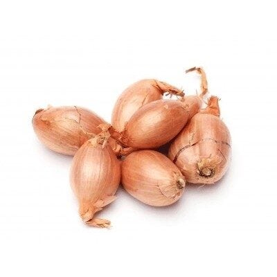 Sturon plantuien