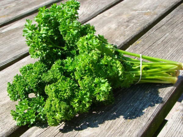 Peterselie Moskrul 2