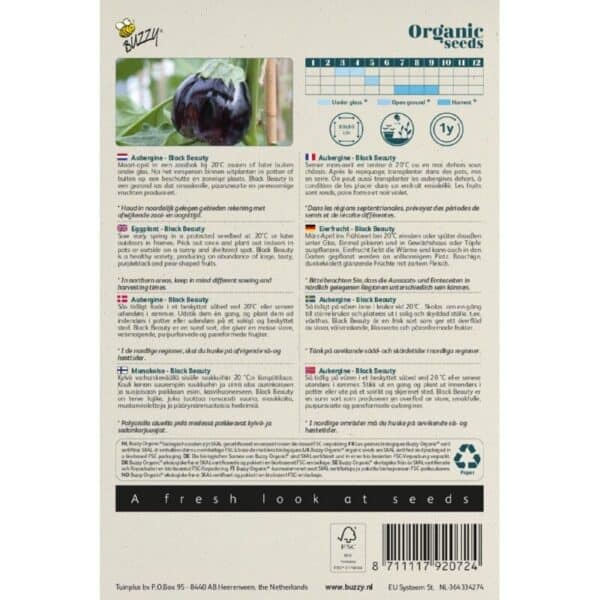 Buzzy Organic Aubergine Black Beauty BIO Buzzy Organic Aubergine Black Beauty BIO