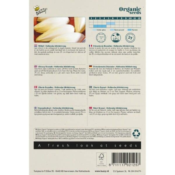 Buzzy Organic Witlof Hollandse Middelvroeg BIO