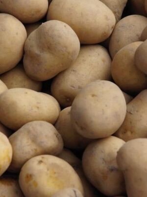 Pootaardappel Obama Pootaardappel Obama