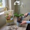 Pokon Bio Orchidee Potgrond Turfvrij 5L Pokon Bio Orchidee Potgrond Turfvrij 5L